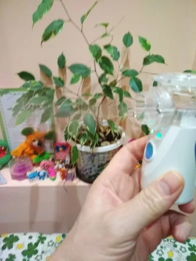 Reviews Truneb™ Portable Nebulizers