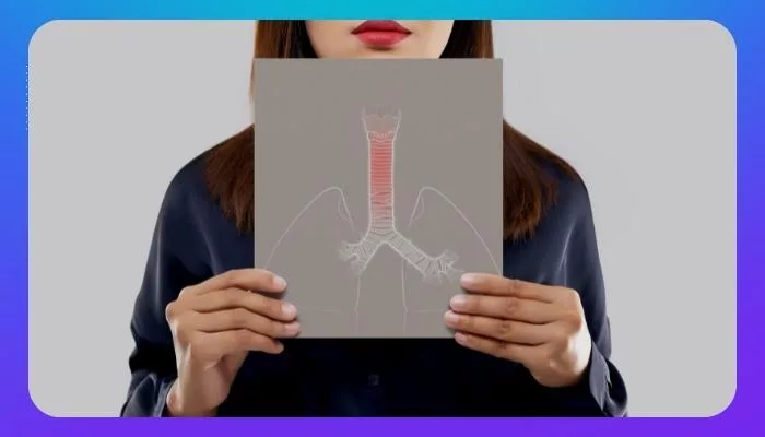 Does A Nebulizer Help With Bronchitis? 1 What Are Bronchitis And What Are The Symptoms Of It