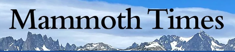 Media Mentions Truneb™